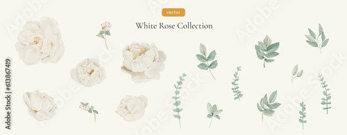 Elegant Watercolor White Roses, Snow Berries and Green Leaves. Botanical Elements Set. Vector Floral Components. 