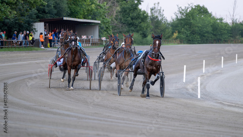 Racing horses trots and rider on a track of stadium. Competitions for trotting horse racing. Horses compete in harness racing. Horse runing at the track with rider. 