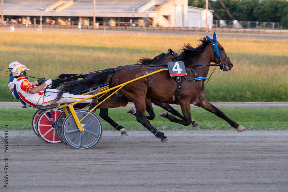 Racing horses trots and rider on a track of stadium. Competitions for trotting horse racing. Horses compete in harness racing. Horse runing at the track with rider.
Racing horses trots and rider on a track of stadium. Competitions for trotting horse racing. Horses compete in harness racing. Horse runing at the track with rider.