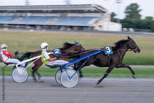 Racing horses trots and rider on a track of stadium. Competitions for trotting horse racing. Horses compete in harness racing. Horse runing at the track with rider.
