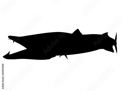 Silhouette of a Barracuda fish