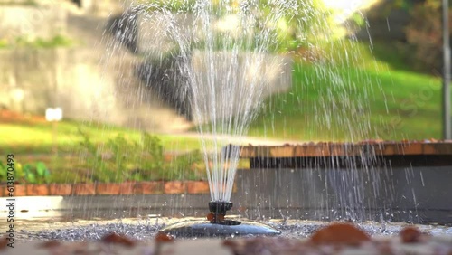 View of a fish pond in a flower garden with a fountain in the middle of the pond, with leaves on it
