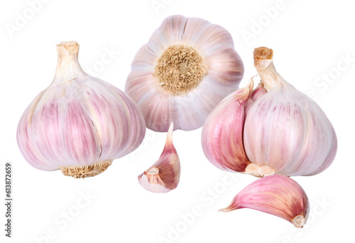 Têtes d'ail violet et blanc	