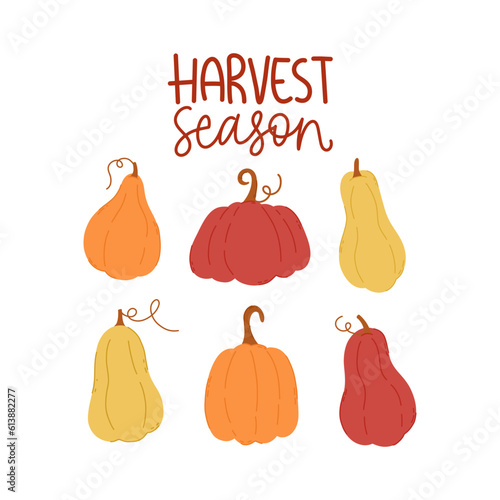Harvest season. Decorative design composition with fall lettering and seasonal elements. Hand drawn phrase with pumpkins.