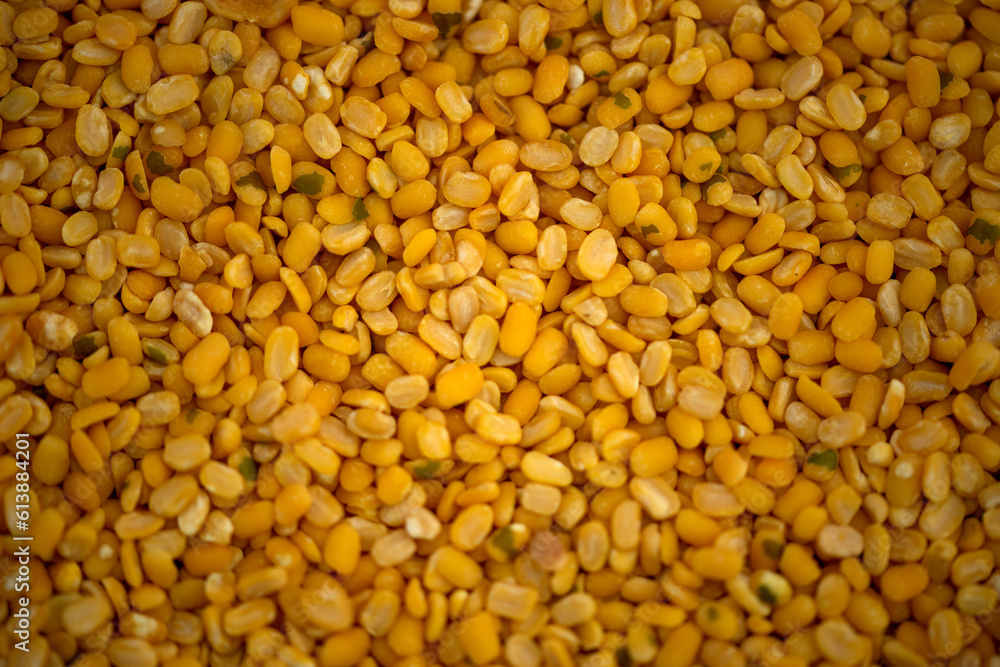The pile of Gram pulses, Split Chickpeas, and Lentil Pulses. The pile of Gram pulses, Split Chickpeas, and Lentil Pulses.