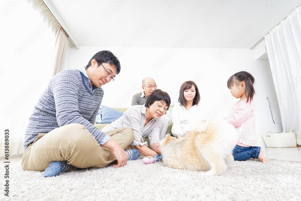 家族で遊ぶ