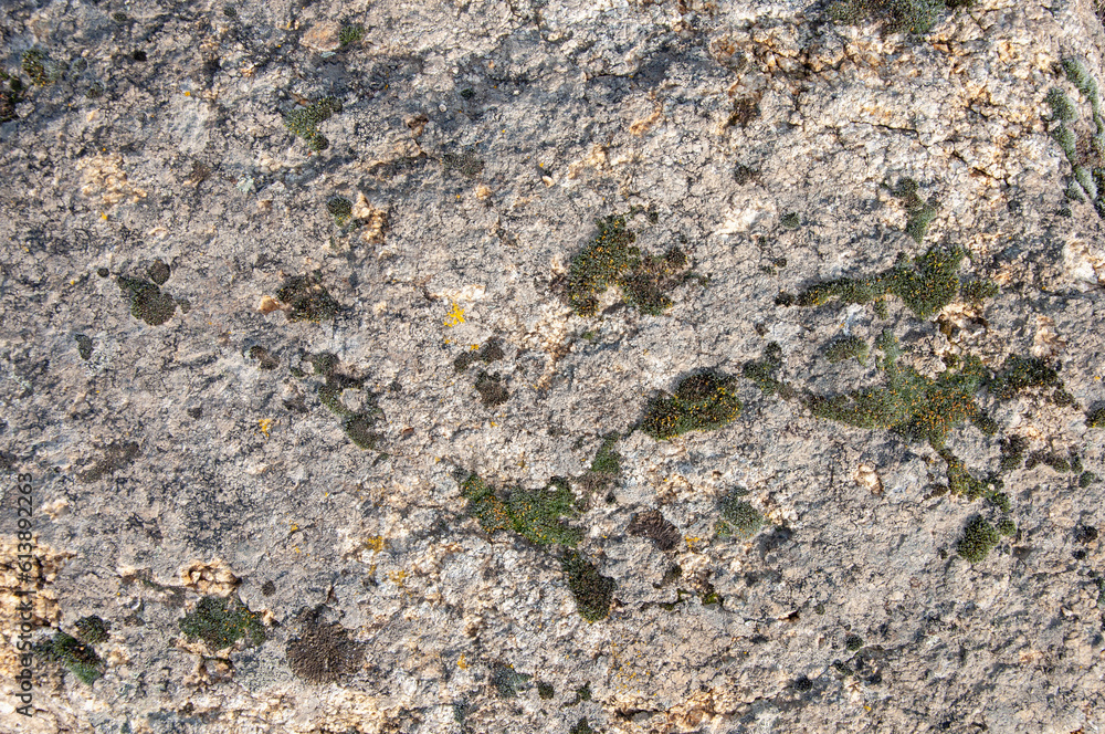 Texture of old gray mossy stone Texture of old gray mossy stone