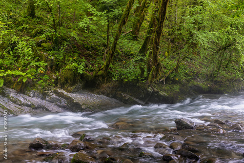 Zeleni vir stream with rapids and lush vegetation in spring