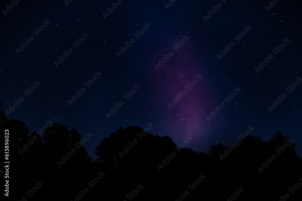 Milky Way rising above a dark forest