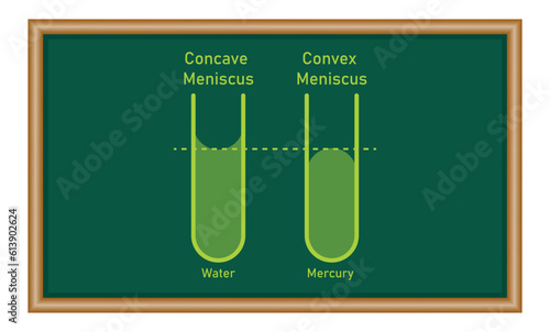 Adhesion and cohesion of water. Concave and convex meniscus. Physics resources for teachers and students