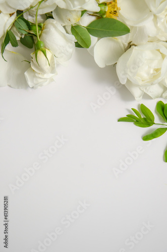 Elegant floral frame made of white roses and acacia flowers. Place for text on white background