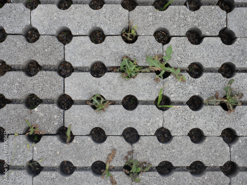 Texture of paving stones