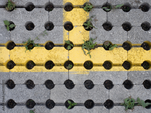 Texture of paving stones