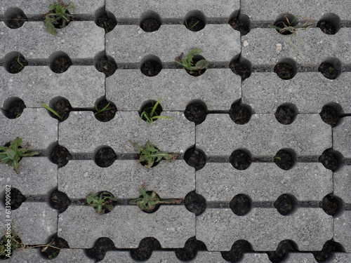 Texture of paving stones