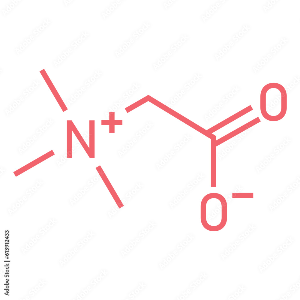 Chemical structure of Betaine (C5H11NO2). Chemical resources for teachers and students. Vector illustration. Chemical structure of Betaine (C5H11NO2). Chemical resources for teachers and students. Vector illustration.