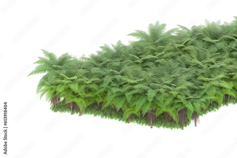 Fototapeta premium Tropical island on transparent background. 3d rendering - illustration