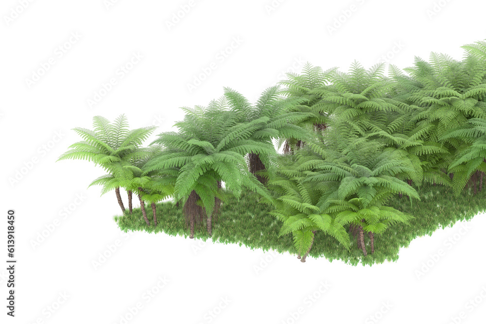 Fototapeta premium Tropical island on transparent background. 3d rendering - illustration
