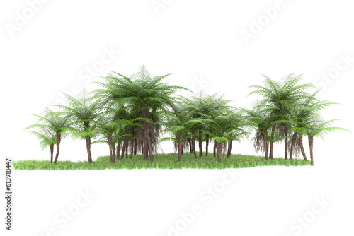 Tropical island on transparent background. 3d rendering - illustration