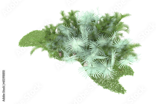 Tropical island on transparent background. 3d rendering - illustration