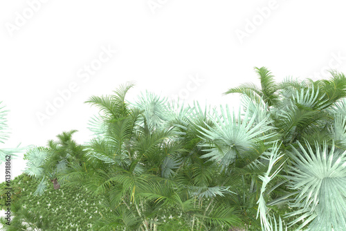 Tropical island on transparent background. 3d rendering - illustration