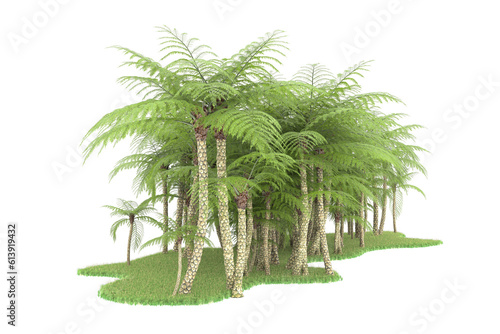 Tropical island on transparent background. 3d rendering - illustration