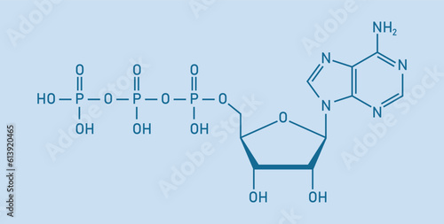 Chemical structure of Adenosine triphosphate (ATP) (C10H16N5O13P3). adenine ribose and three phosphate groups. Chemical resources for teachers and students. Vector illustration.