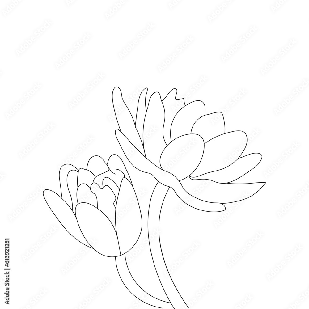 Water Lily Coloring Book For Adults