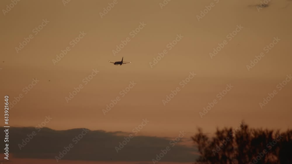 The passenger plane is descending slowly to make a landing. The airplane lights are on, and the landing gear is down. Against the backdrop of the sunset sky and trees The passenger plane is descending slowly to make a landing. The airplane lights are on, and the landing gear is down. Against the backdrop of the sunset sky and trees