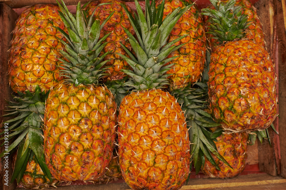 Fresh pineapple on wooden basket Fresh pineapple on wooden basket