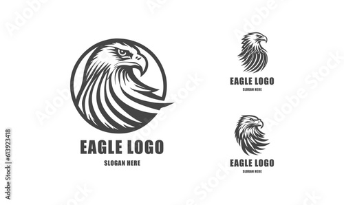 Eagle logo vector. Stylized graphic eagle bird logo template, Vector element for logo, badges or labels design.
