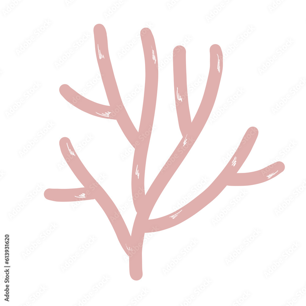 Obraz premium coral 