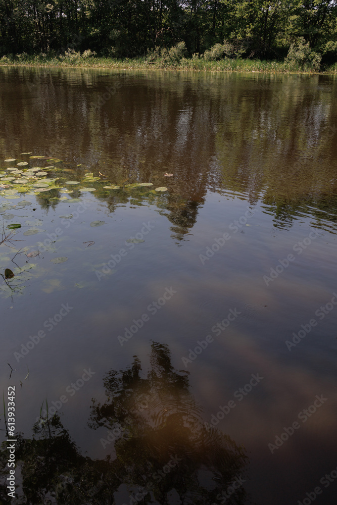 Fototapeta premium Landscape, view of the lake and the shore, green trees and water surface