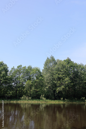 Landscape, view of the lake and the shore, green trees and water surface