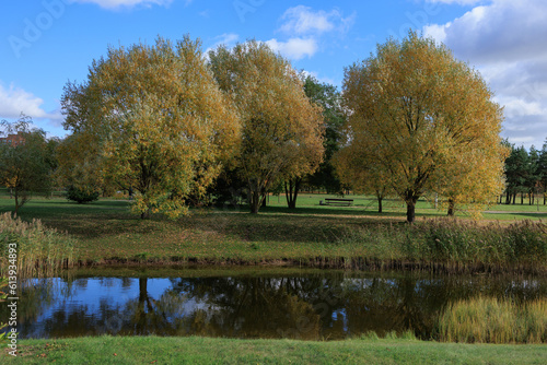 Landscape, view of the lake and the shore. Background for design