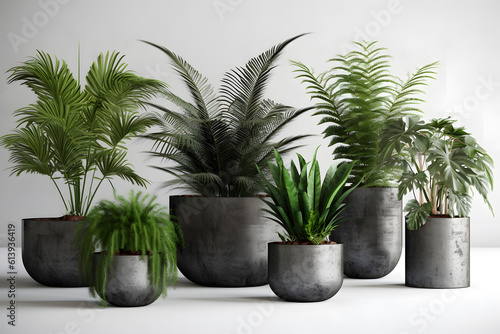 a group of houseplants in concrete pots Generative AI