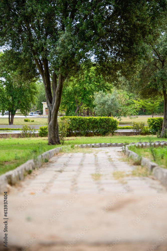 A pathway leads through the park from a rest area on the motorway from Lahore to Islamabad.