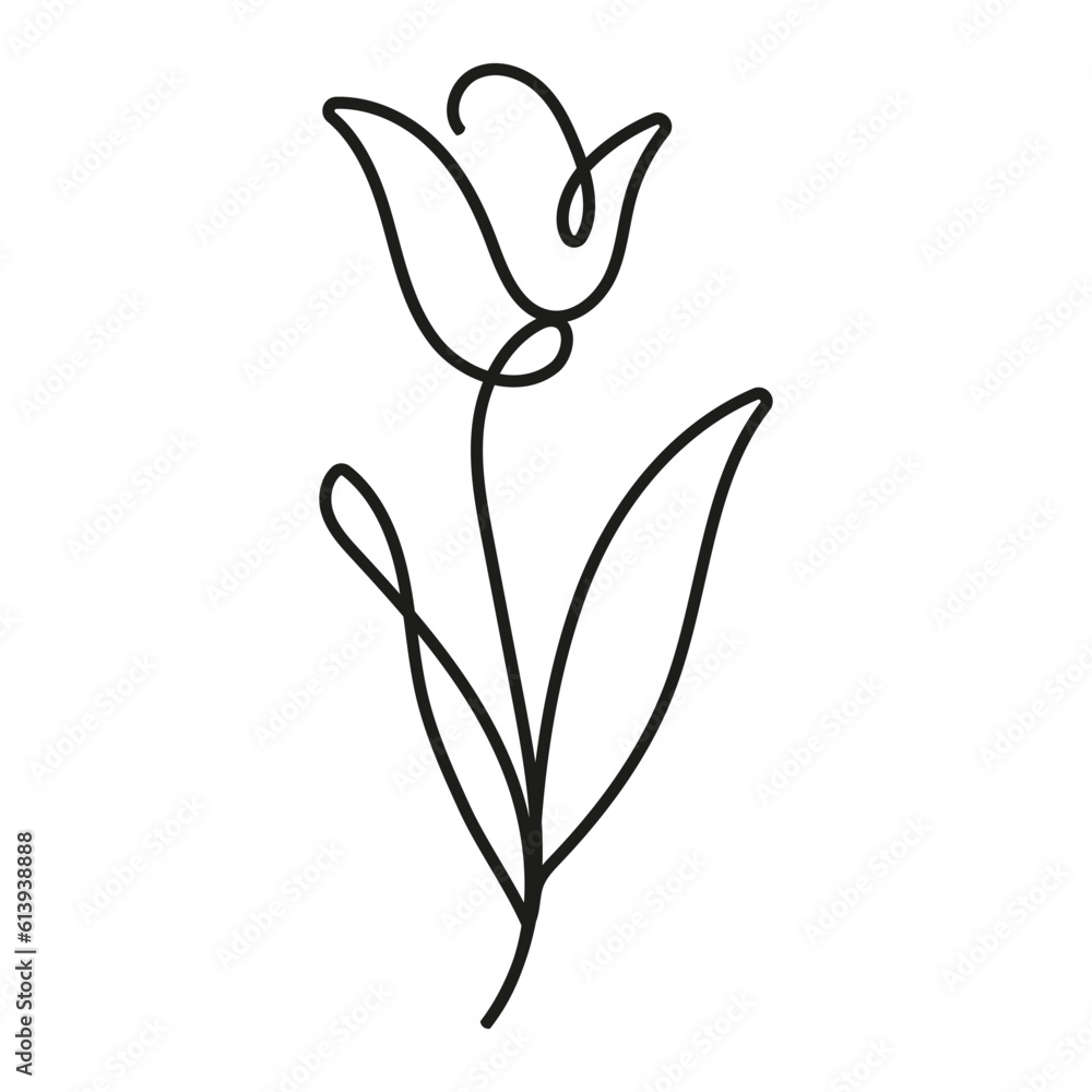 Tulip flower line art, tulip flower one line art, tulip flower line