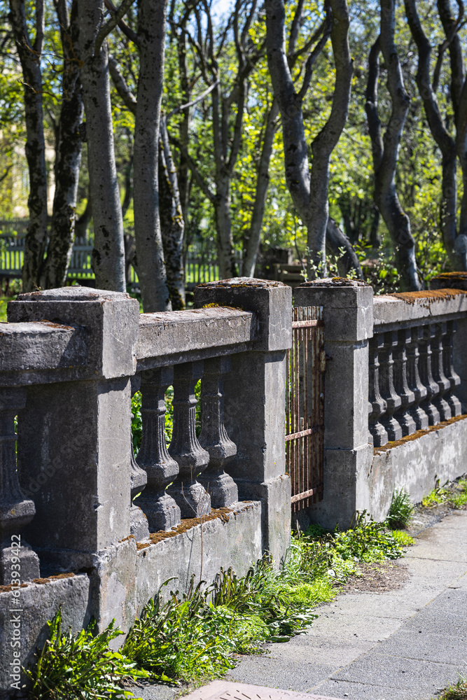 Trees in a stone fenced pretty weathered garden Trees in a stone fenced pretty weathered garden