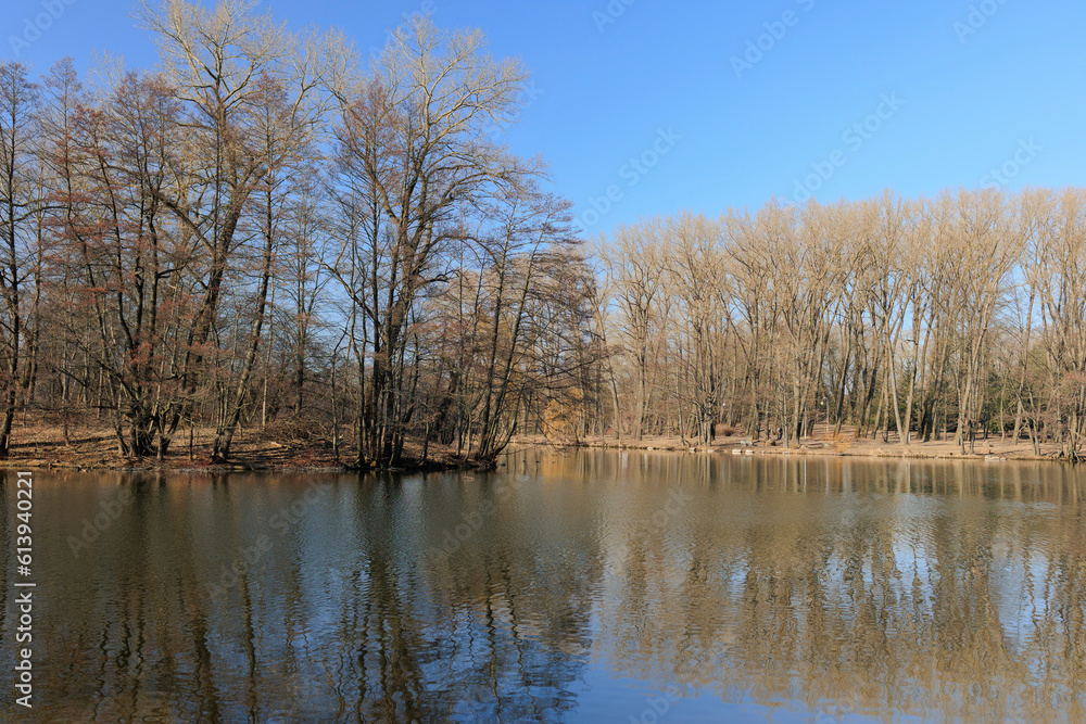 Landscape, view of the lake, river and the shore. Background for design