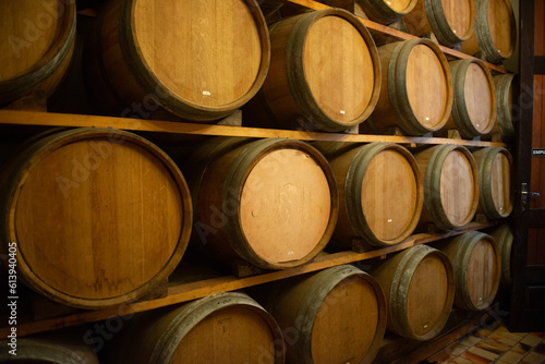 Oak barrels storing the vintage of Cabernet Sauvignon wines in Brazil
