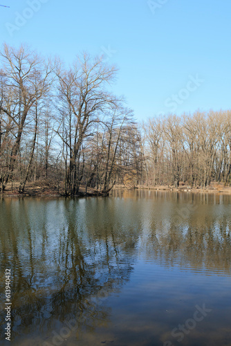 Landscape, view of the lake and the shore, green trees and water surface