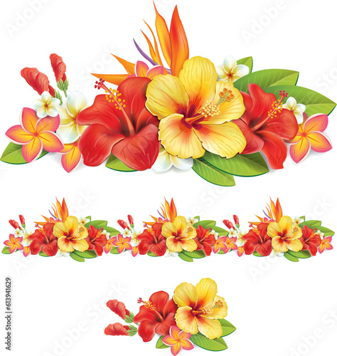 Set of beautiful hibiscus flowers  blooming tropical floral elements  Corner design collection with exotic flowers and leaves  Vector illustration on white background.