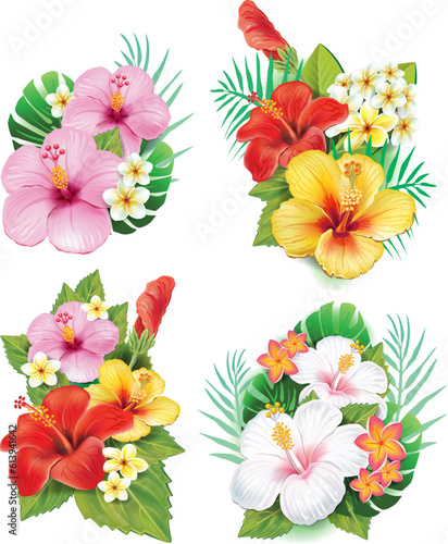 Set of Beautiful hibiscus flowers, blooming tropical floral elements Vector illustration on white background.