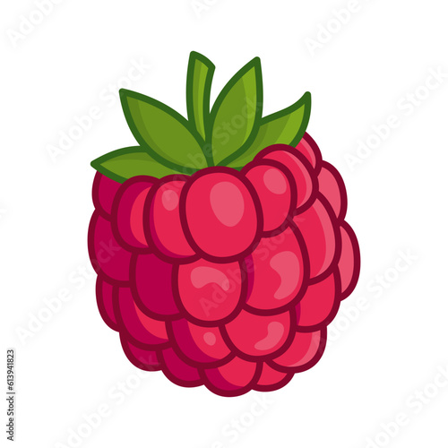 Juicy raspberry isolated on a white background. Vector illustration of berries for design