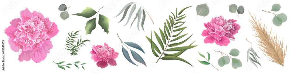 Mix of herbs and plants vector collection. Green plants and leaves. All elements are isolated. Pink peony. . Vector illustration Mix of herbs and plants vector collection. Green plants and leaves. All elements are isolated. Pink peony. . Vector illustration
