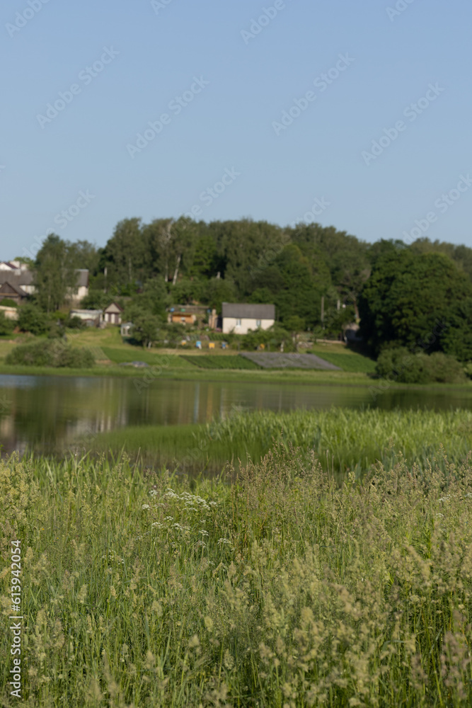 Obraz premium Landscape, view of the lake and the shore, green trees and water surface