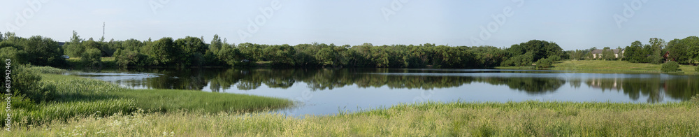 Landscape, view of the lake and the shore, green trees and water surface