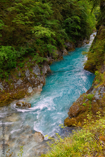 Beautiful landscape of Tolmin Gorges. Majestic scenery with clean mountain river in the deep gorges of Tolmin  Slovenia  Europe