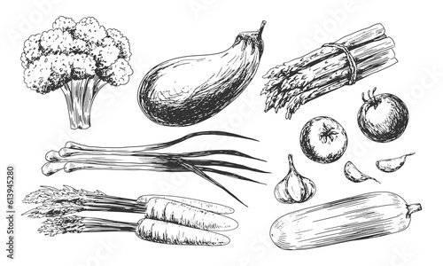 Set of vegetables sketches. Black and white collection of vegetables. Broccoli, cauliflower, eggplant, green onion, asparagus, zucchini, carrots, garlic, tomatoes. Food drawn with hatching.