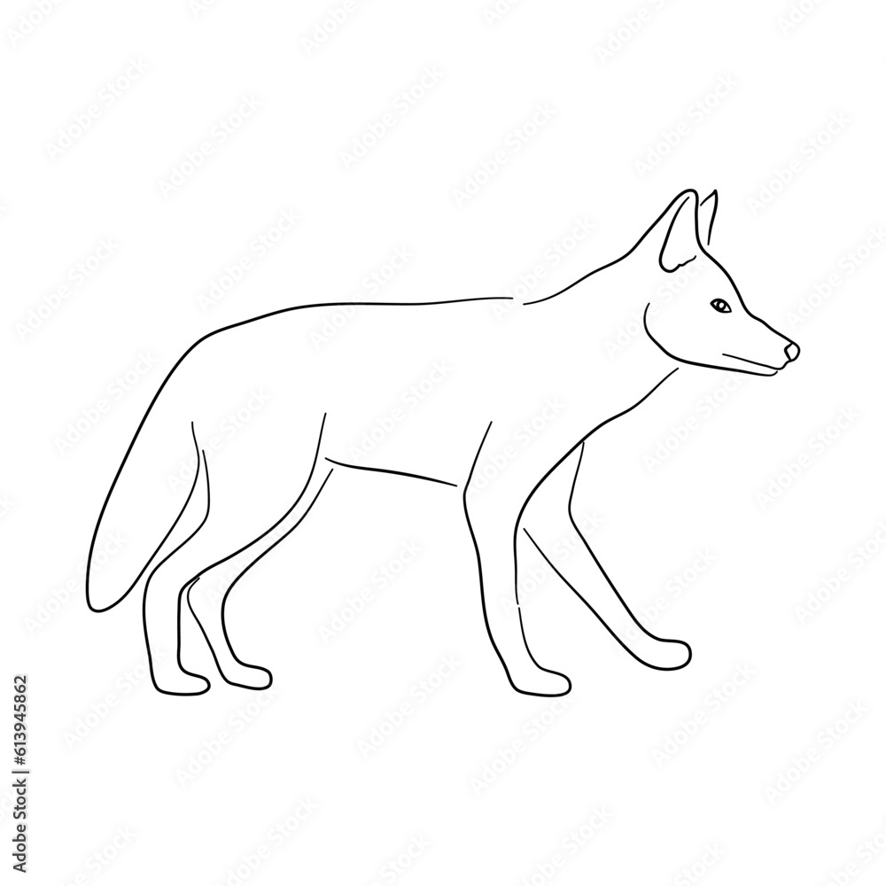 Silhouette of a Jackal made in sketch style. Vector illustration.
